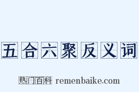 五合六聚反义词是什么意思的图片